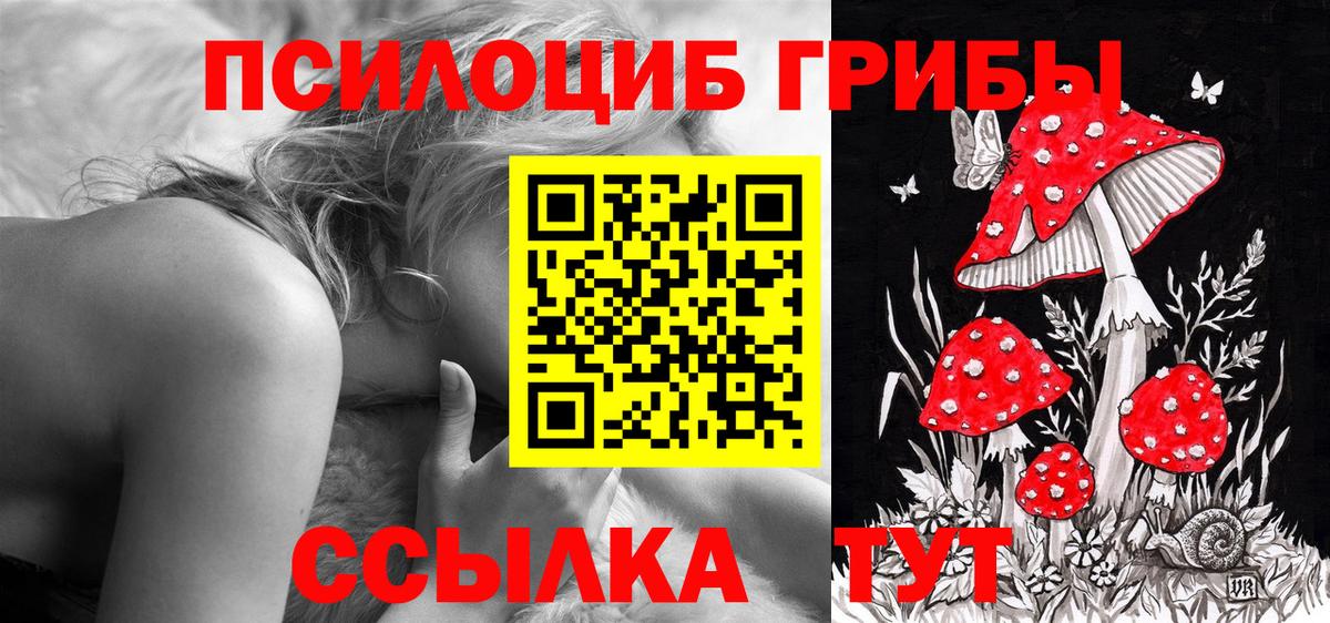 Ачхой-Мартан  продажа наркотиков  Вход с VPN  Галлюциногенные грибы Cubensis 